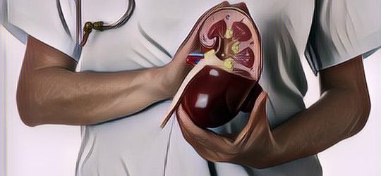 Ramai Soal Cangkok Babi ke Tubuh Manusia, Ini Fakta Selengkapnya