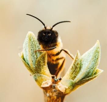 2. Badannya sih imut, begitu pakai muka kucing jadi.. hem... wkwkwk