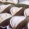 Jenis Jenis Durian Unggul di Indonesia, Enak dan Bisa Bikin Ketagihan!