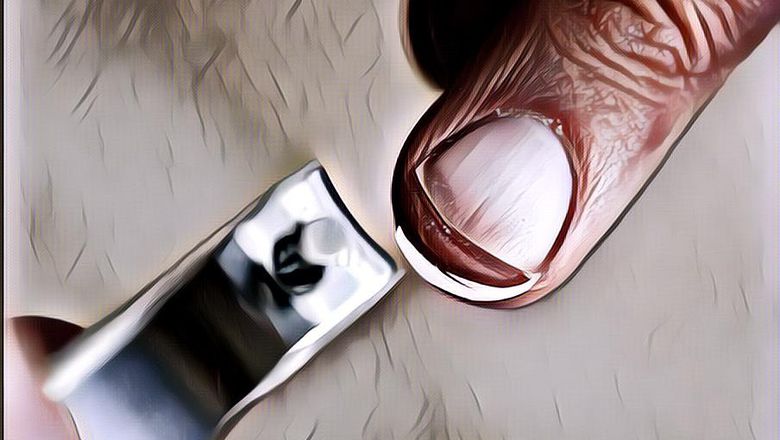 Gimana Ya Cara Manusia Purba Potong Kuku? Soalnya Gunting Kuku Baru Ditemukan Abad ke-20