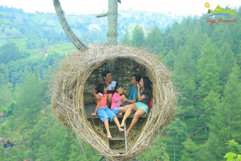 Bersantai di sarang burung