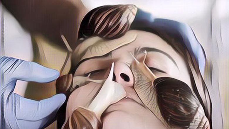 Deretan Fakta Unik Tentang Siput yang Belum Banyak Diketahui