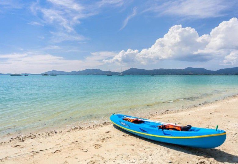 #3 Lautan bisa ditanami tanaman