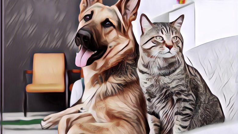 Kapan Kucing dan Anjing Bisa Disteril Setelah Melahirkan?