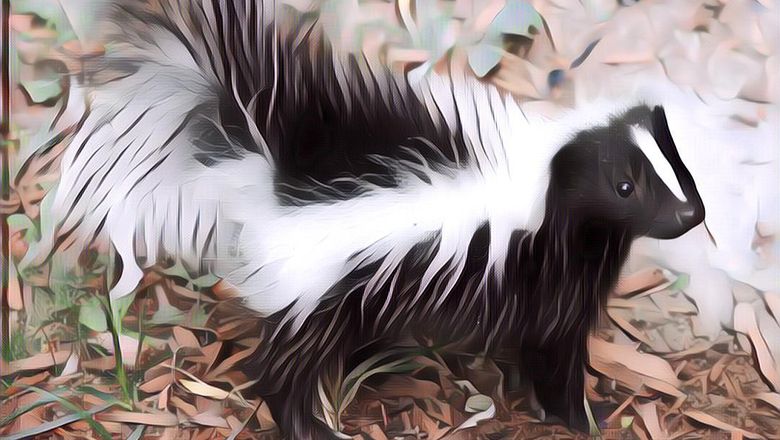 Hewan Paling Bau di Dunia, Minggir Aja Deh Kalau Ketemu Mereka