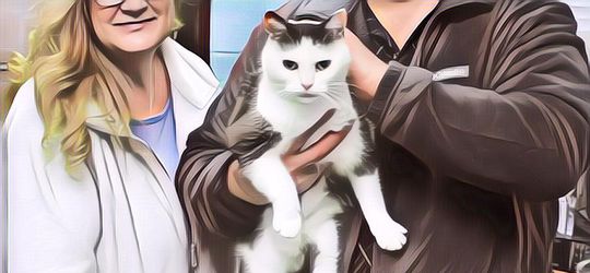 Inilah Kucing Judes dan Punya Kelakuan Terburuk di Dunia, Kenapa?