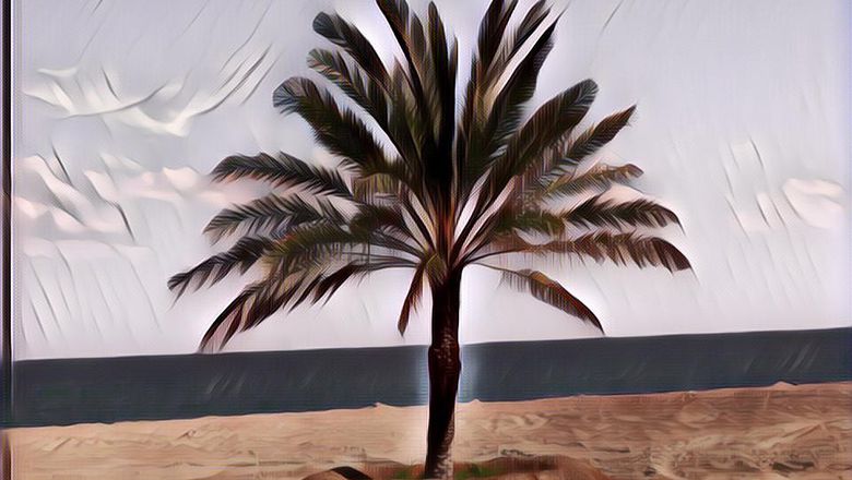 Kampung Kurma Digugat Konsumen, Investasi Bodong Berkedok Syariah yang Lebih Dekat ke Perjudian