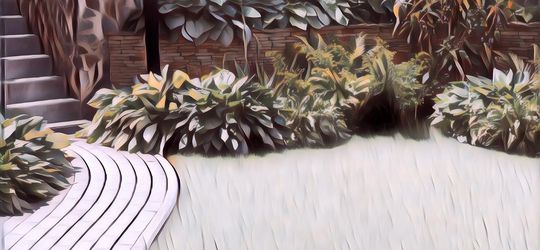 7 Tips Merawat Taman dengan Rumput Gajah Mini