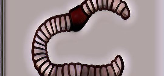 Makan Parutan Kelapa Menyebabkan Kremian? Fakta atau Mitos, Nih?