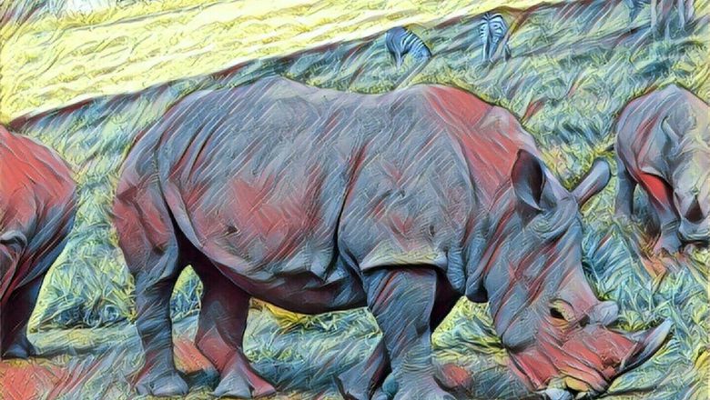 Sudan, Badak Putih Jantan Terakhir di Dunia Mati, Warisan Barbarisme Spesies Manusia