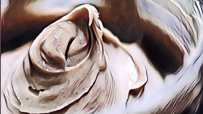 Resep Membuat Selai Kacang yang Sehat dan Enak, Gampang Banget!