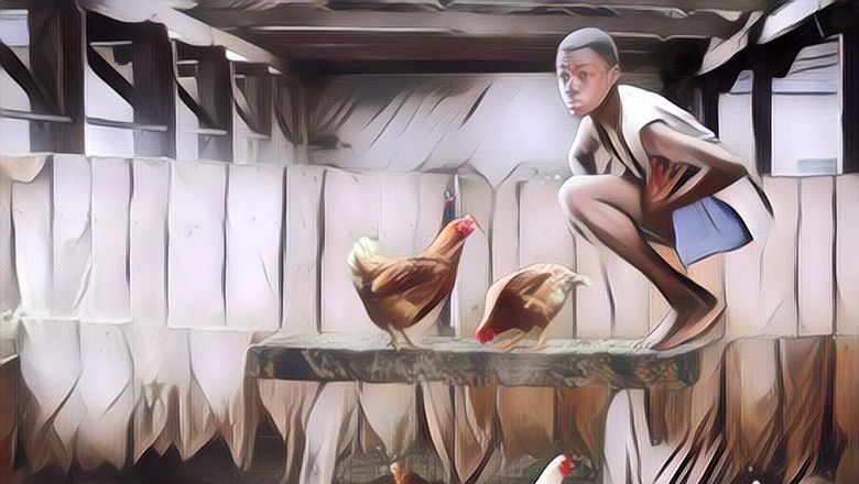 Ternyata Beneran Ada, Begini Kisah Anak-anak yang Dibesarkan Binatang di Hutan ...