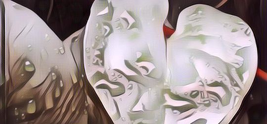 Tak Banyak yang Tahu, Berikut 5 Manfaat Daun Binahong untuk Kesehatan