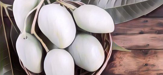 5 Cara Menyimpan Buah Mangga Agar Tahan Lama dan Tak Mudah Busuk, Mudah Banget Loh!