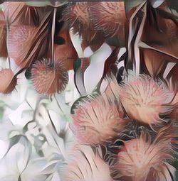 Viral Buah Rambutan Dijadikan Bahan Dekorasi Pernikahan, Begini Hasilnya
