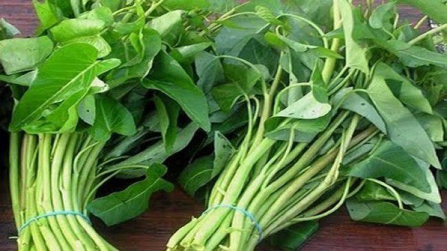 1. Pilih kangkung yang benar-benar segar prima