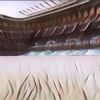 Standar Rumput Stadion Menurut Aturan FIFA