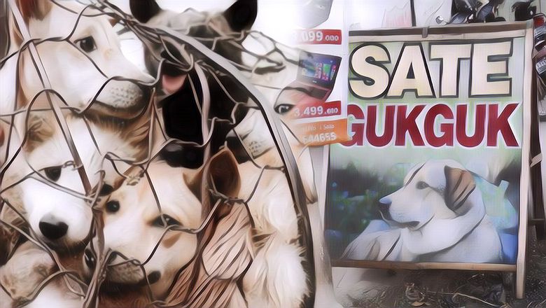 Daging Anjing Populer dan Jadi Kuliner Khas di Solo, Berikut Sejarahnya