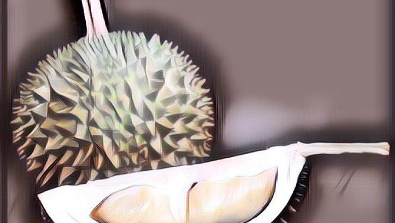 Seekor Gajah Terekam CCTV Mencuri Durian di Thailand