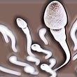 9 Kondisi yang Bisa Membuat Kualitas Sperma Buruk