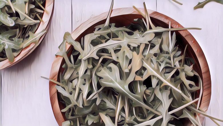 Kandungan Nutrisi dan Manfaat Sayur Arugula, yang Sering Dipakai untuk Salad