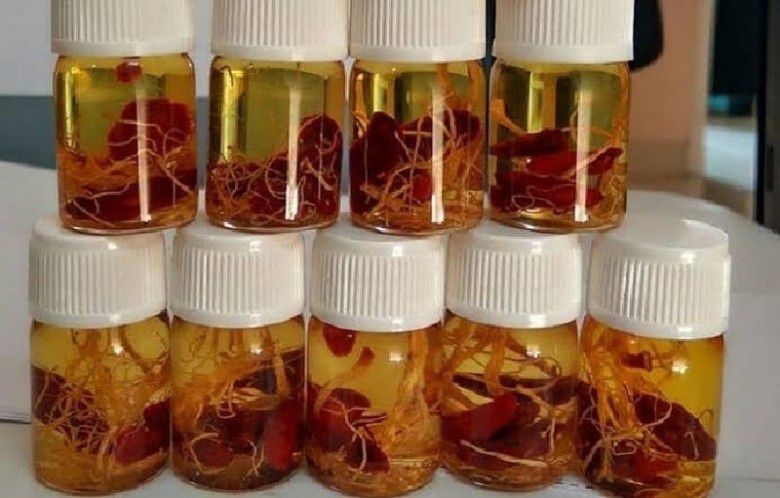 # Apa Itu Minyak Bulus dan Apa Saja Manfaatnya?