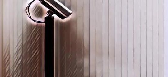 Viral Video Seekor Dinosaurus Terekam CCTV di Spanyol saat 'Lockdown' Diberlakukan, Hii~