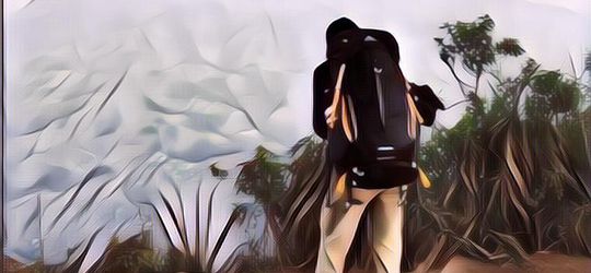 Pria Hilang Di Hutan Gunung Nokilalaki Selama 4 Hari, Akui Mengalami Hal Mistis