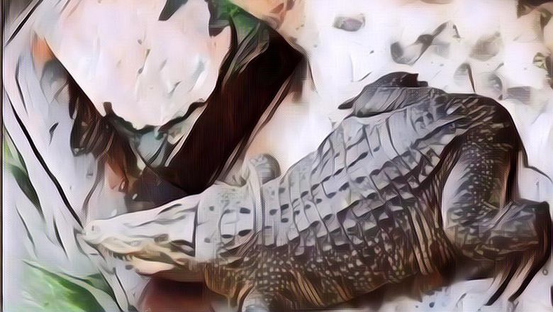 Fenomena Buaya Buntung: Bukan Siluman dan Bukan Editan, Ini Kejadian Langka Ciptaan Tuhan