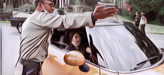 Ayu Ting Ting Kena Tegur Operasi Ganjil Genap Kota Bogor, Petugas Satpol PP Dihukum Push Up