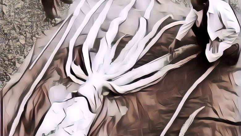 Deretan Hewan Legenda yang Terbukti Nyata