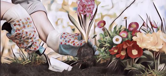 Manfaat Berkebun, Salah Satunya Meningkatkan Kepercayaan Diri