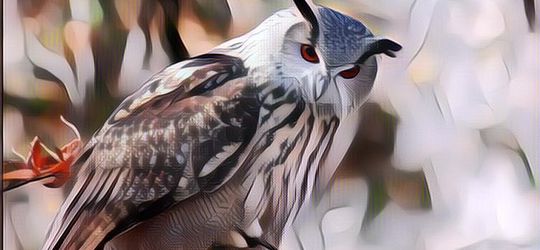 AS Berencana Bunuh Setengah Juta Populasi Burung Hantu, Ini Alasannya