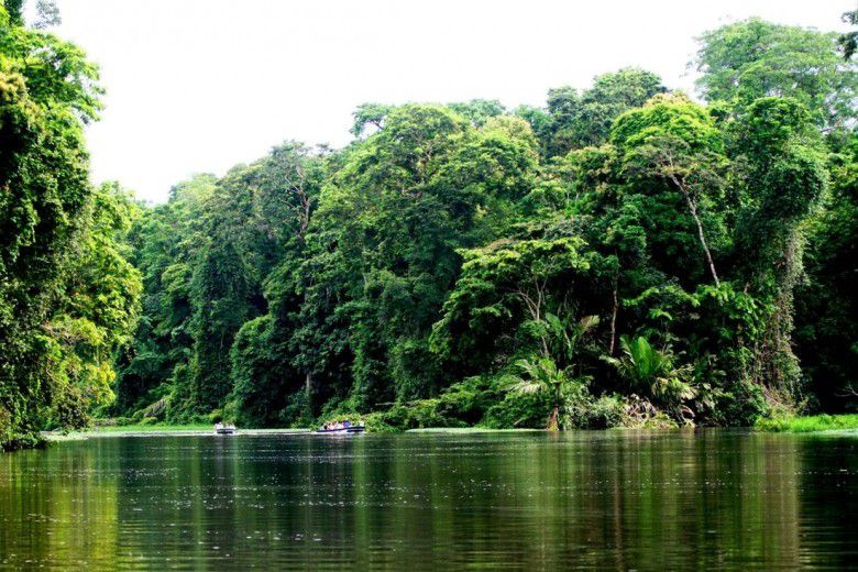 1. Afrika adalah gurun yang panas