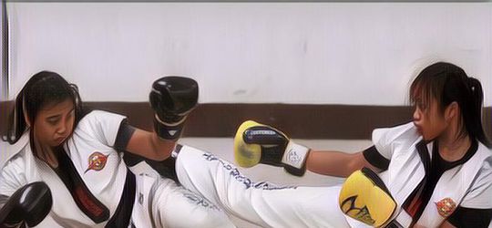 Pencak Silat Gak Sendiri, Berikut Olahraga Bela Diri Asli Indonesia
