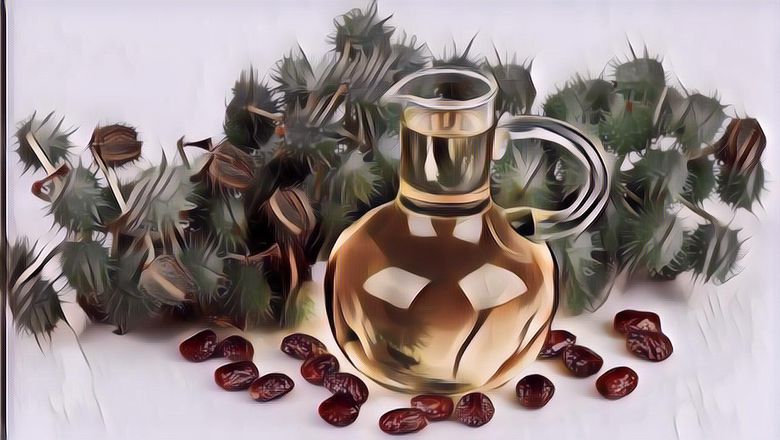 Biasa Digunakan untuk Rambut, Bisakah Minyak Jarak Memperpanjang Bulu Mata? Simak Ulasannya!