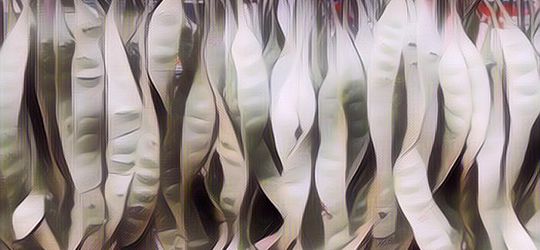 Manfaat Makan Petai untuk Kesehatan, Apa Saja Sih?