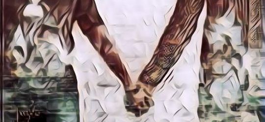 Ternyata Begini Mimpi Bertemu Mantan Pacar Menurut Primbon Jawa, Sering Ngalamin?