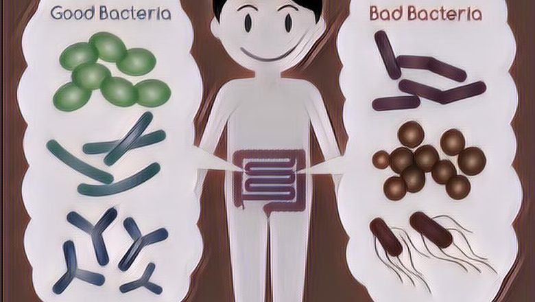 Berjuta Manfaat Probiotik untuk Tubuh yang Jarang Diketahui Orang