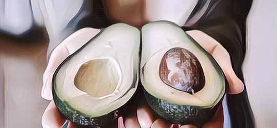 Manfaat Alpukat Untuk Ibu Hamil dan Perkembangan Janin