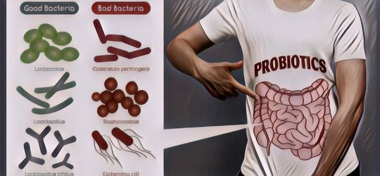 7 Manfaat Probiotik untuk Kesehatan Tubuh, Ternyata Sepenting Itu