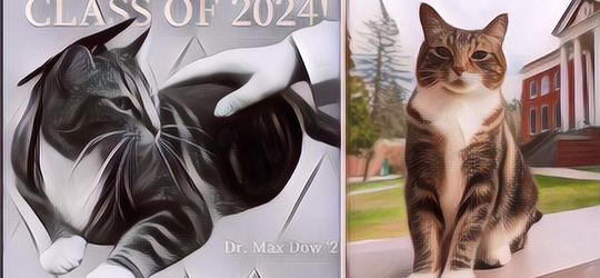 Lucu Banget! Ada Kucing Dapat Gelar 'Doktor' dari Universitas, Ini Alasannya