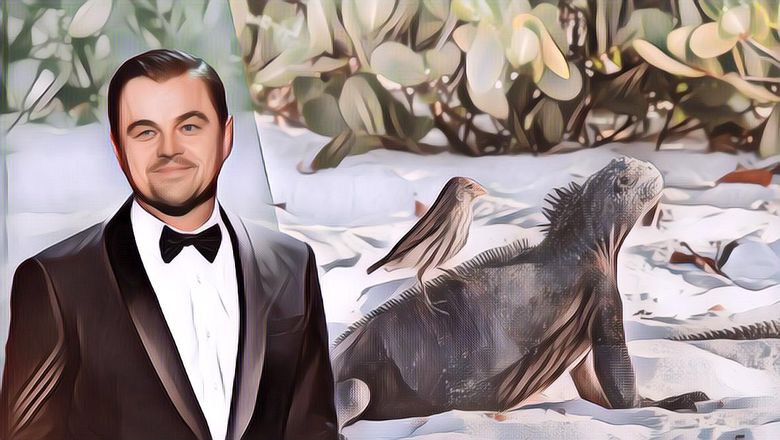 Terus Berjuang Tak Kenal Lelah untuk Bumi, Leonardo DiCaprio Berusaha Menghidupkan kembali Pulau Galápagos di Amerika Latin