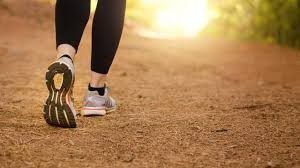 1. Baik untuk kesehatan jantung dan dapat menurunkan kolesterol