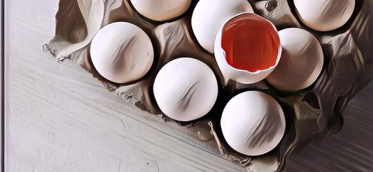 Beda Telur Omega 3, Telur Ayam Kampung, dan Telur Ayam Biasa, Mana yang Lebih Baik Dikonsumsi?