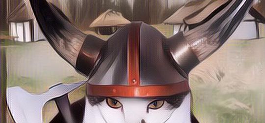 Ternyata Ukuran Kucing Zaman Viking Beda Jauh Dari Kucing Zaman Now lho!