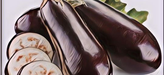 3 Masakan Terong Ungu Khas Rumahan Yang Super Nikmat