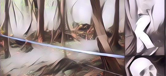 Kisah Misteri Aokigahara, Lokasi Hits Buat Bunuh Diri