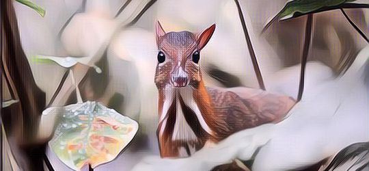 Dongeng Bahasa Jawa Singkat Kancil dan Pak Tani