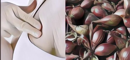 Mitos atau Fakta: Bawang Merah Bisa Membesarkan Payudara?